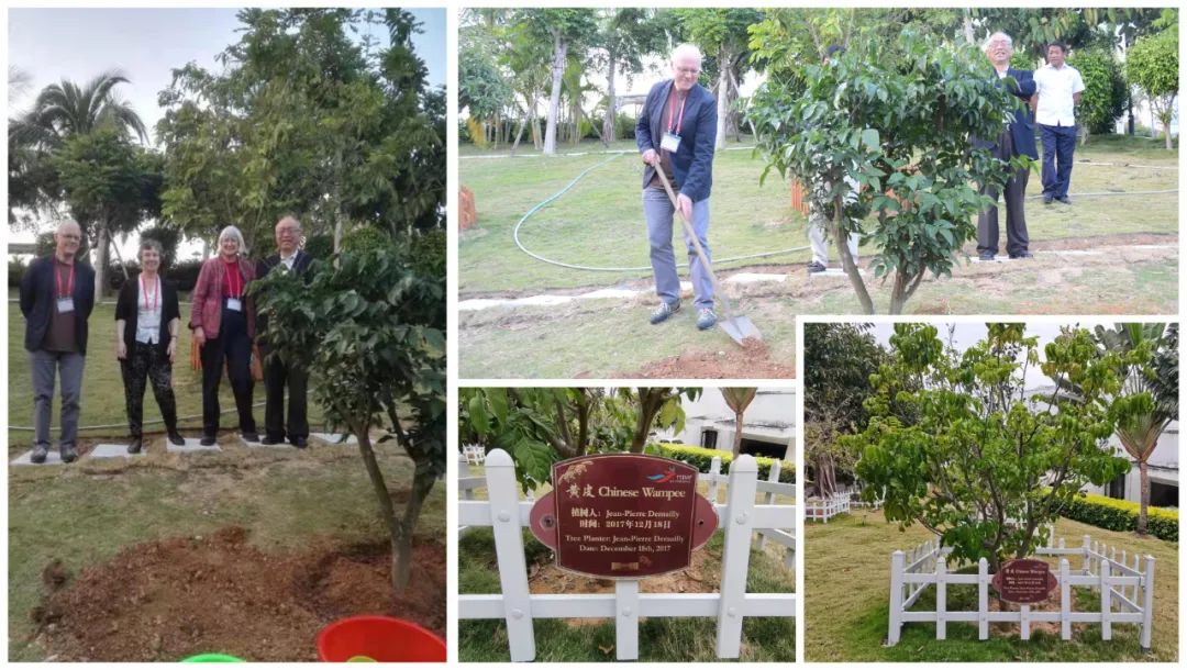 164786401473108007.jpg 164786401473108007.jpg