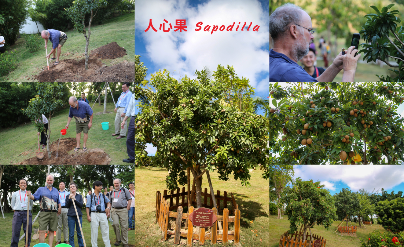 161854339317684129.png image.png